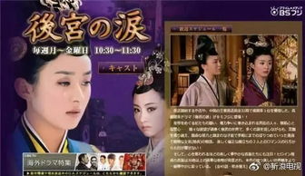 一树梨花压海棠，严雯丽的传奇人生（82集电视剧深度解析）