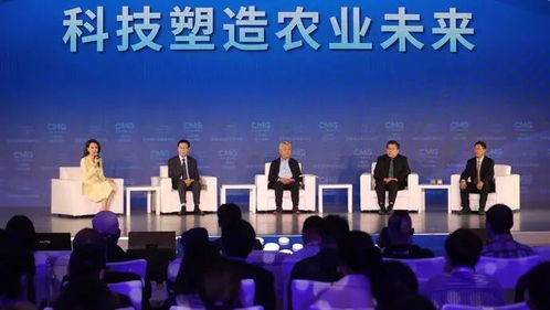 河南民企协会视角下的胖东来，高薪背后的故事与洞察