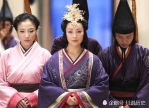 我靠躺平母仪天下（99集）深度解析