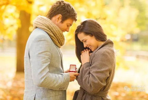傅少的闪婚甜妻，一场命中注定的浪漫旅程