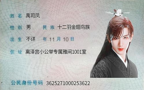 时总，夫人又忘记你们领证啦（83集）剧情解析与角色深度探讨