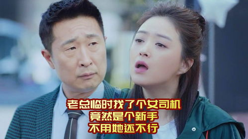 浩子奇遇，出租司机与美女总裁的婚事风云