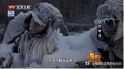 凰者归来，一部史诗般的传奇（60集）