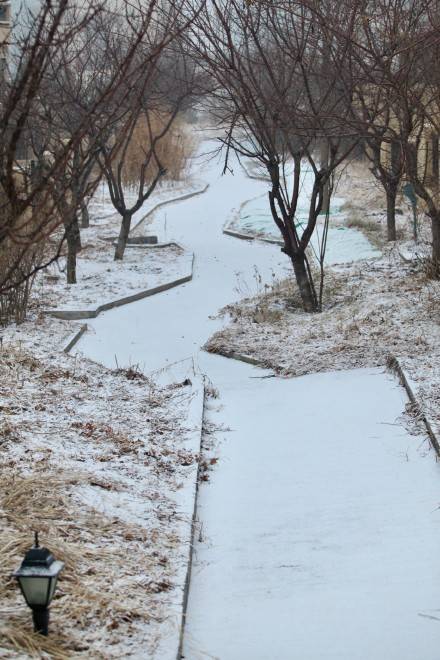 北京多地飘雪，冬日的诗意画卷