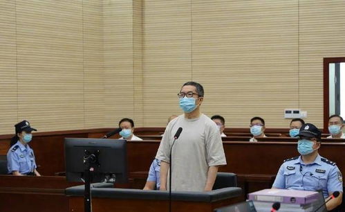 中行原董事长刘连舸贪腐案，涉案金额达1.2亿，被判死缓的背后故事