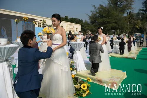婚礼换爱（90集）剧情深度解析与感悟