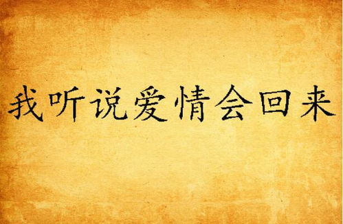 听说爱情已迟暮长篇