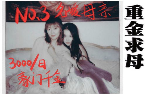 豪门千金她不好惹（一），权力与荣耀的较量（100集剧情概述）