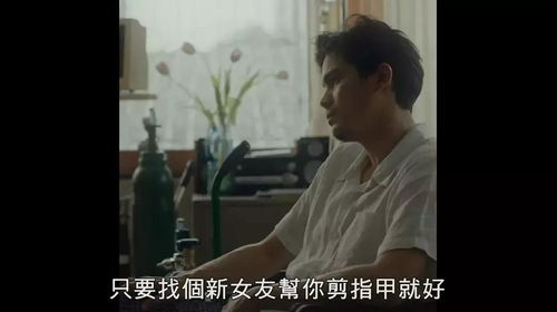 复仇从离婚开始，重塑自我与寻找新生