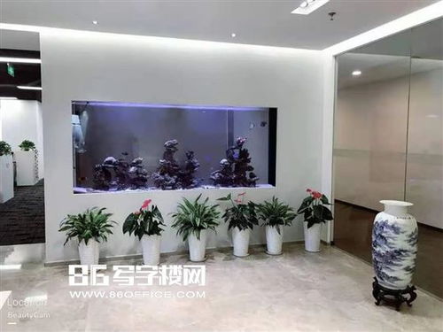 玫瑰藏在浅风中（左一）（86集）
