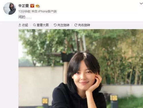 救命！我和前女友们做同事（赵美琦与前女友们的职场重逢）（96集）