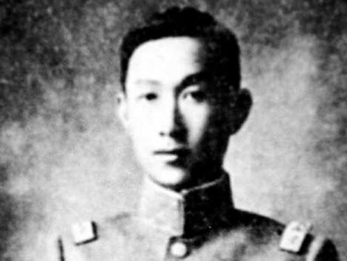 功夫姐妹，一部展现女性力量的励志传奇（62集深度解析）