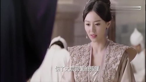 护夫贤妻（89集）