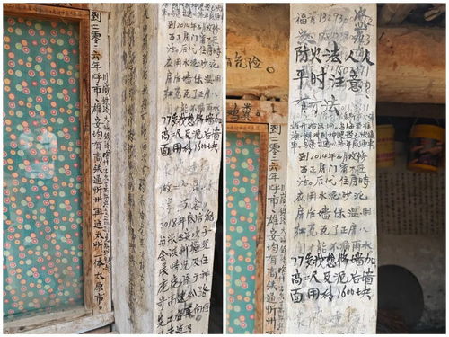 姜还是老的辣（第70集），岁月沉淀的智慧与经验传承