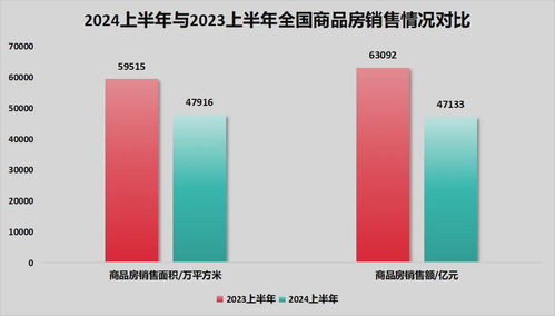 双面煮妇，生活的多重色彩（99集深度解析）