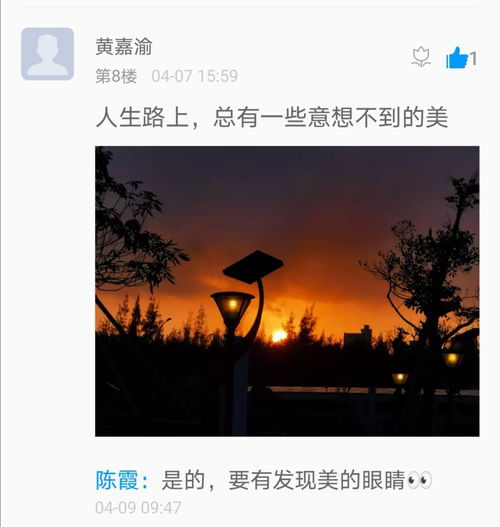 全集的魅力与价值，探索、发现与欣赏
