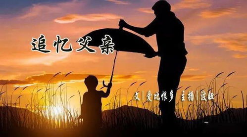 龙爸风云，风云变幻中的父爱如山