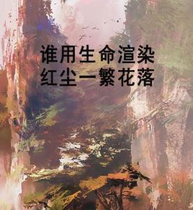 落在生命里的光（78集）