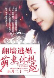翻墙逃婚，萌妻休想逃（78集）