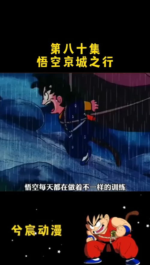 重燃，生活的80集交响曲