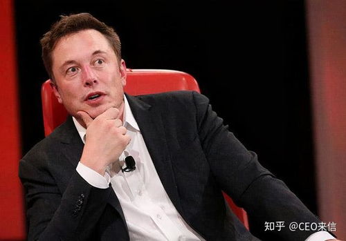 马斯克母亲眼中的独特儿子，称富豪是贬低他的价值