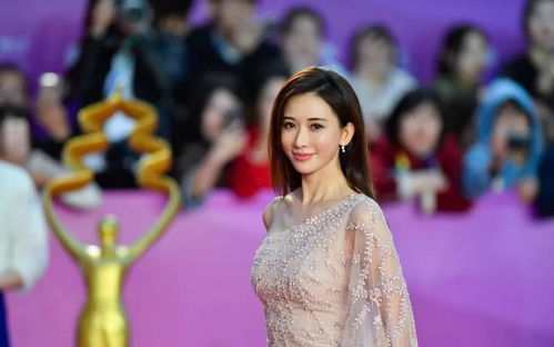 蔡明、向太、刘晓庆、李小冉等明星合体录综艺，星光熠熠的盛宴
