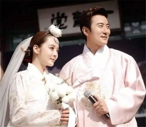 丑媳攻略之夫凭妻贵，穿成丑妻来种田