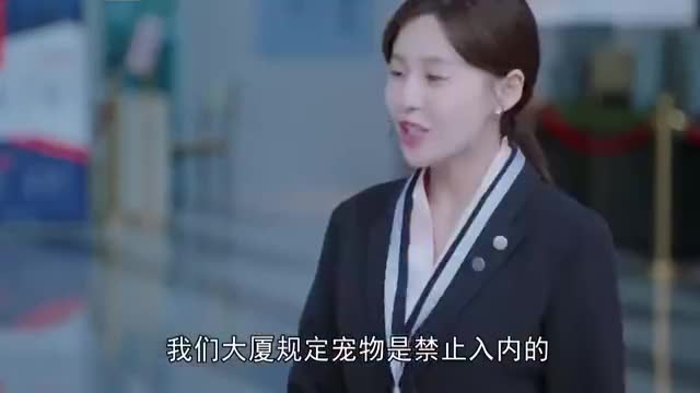 美女总裁的护妻高手