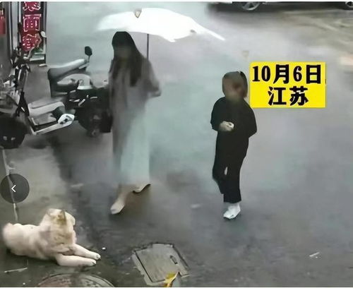 英勇环卫工面对恶犬撕咬挺身而出，保护女子展现人间真情