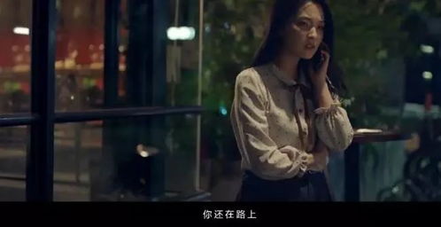 从未说过我爱你，一部深情而含蓄的百集故事