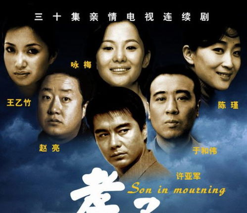 父亲的荣耀，一部关于家庭、荣耀与传承的电视剧
