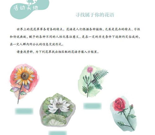 偏爱，情感的独特倾向与生活的丰富色彩（55集深度解析）