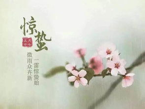 爱在陌上花开时（1陌上花开，缘分初现）