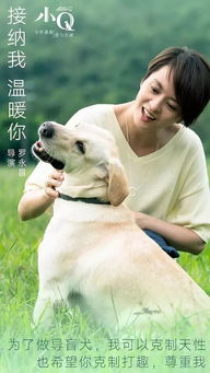 给你生命给你爱，一部深情诠释生命与爱的88集情感巨献