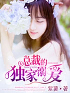 总裁陛下请宠爱（96集）