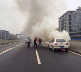 新能源车起火，卖鱼哥仗义灭火