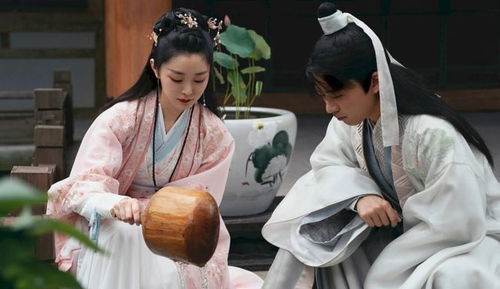 穿越古代当赘婿，赘婿逆袭之路的传奇故事