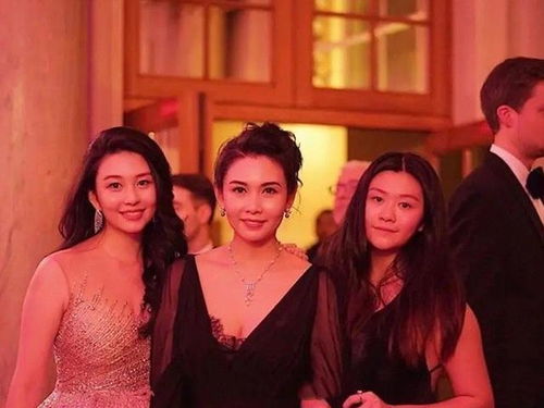 天降四姐，豪门继承人的风云岁月（90集）