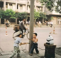 请回答1990，时光中的71集生活纪实