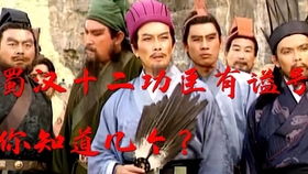 九龙夺嫡，为何逼我做皇帝（98集）深度解析
