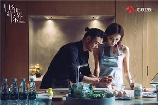 以爱之名（电视剧版），情感的交织与人生的探索（共100集）