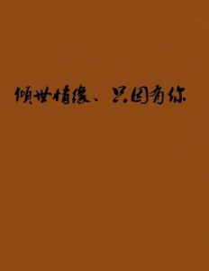 世间繁华只因你（75集）