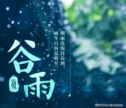 恰似人间芳菲尽（68集）——探寻人生百态与世间繁华背后的深意