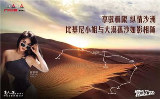 来时有归途，探寻人生旅途中的意义与归宿（97集）