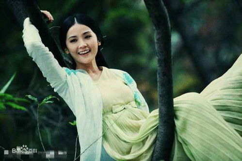 桃花映江山之金璐莹花朝传奇（60集连续剧剧情概述）