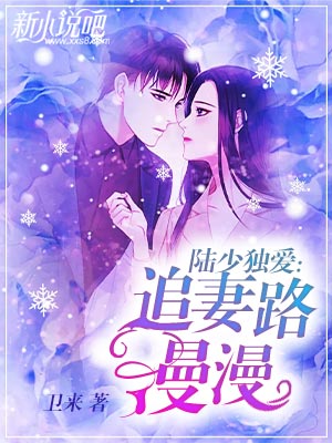 陆总的漫漫追妻路（65集）