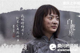 家庭风云，情感的纠葛与和解的历程（30集剧情概述）
