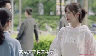 傻女替嫁惊全球（69集）