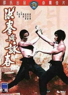 功夫姐妹（62集），女性力量与武术精神的融合