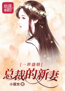 总裁的新妻